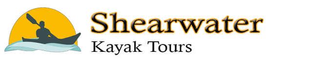 Shearwater Kayak Tours